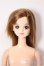 画像1: ジェニー/NEWジェニー/BJD　球体関節人形 A-26-01-21-344-NY-ZA (1)