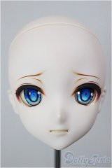 DD/DDH-09 カスタムヘッド A-26-02-04-116-NY-ZA