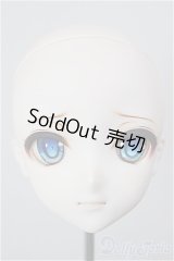 DD/DDH-09 カスタムヘッド A-26-02-04-116-NY-ZA