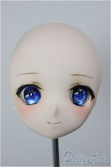 DD/DDH-01 カスタムヘッド A-26-02-04-114-NY-ZA