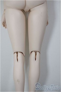 画像4: DDdy/ベースボディ A-26-02-04-137-NY-ZA