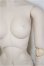 画像4: DD/ベースボディIII/BJD　球体関節人形 A-26-02-04-393-NY-ZA (4)