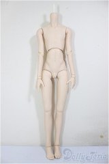 DDSB/ベースボディ/BJD　球体関節人形 A-26-02-04-387-NY-ZA