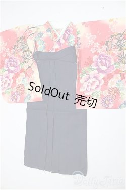 画像1: DD/OF 袴/0 A-26-01-28-278-NY-ZA