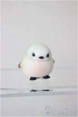 cocoriang/OF:小物 A-26-02-04-120-WT-ZA