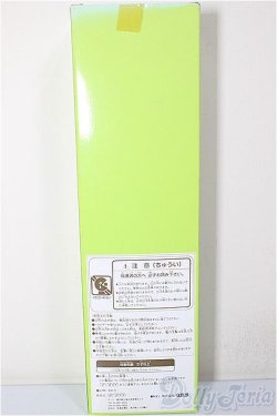 画像3: ジェニー/TOTOCO Special キサラ/BJD　球体関節人形 A-26-02-04-170-WT-ZA