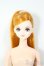 画像1: リカちゃんキャッスル/サヤカ/BJD　球体関節人形 A-26-02-04-203-NY-ZA (1)