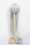 画像1: 9-10inch/ウィッグ/インチ　BJD　MJD　ドール用 A-26-02-04-207-NY-ZA (1)