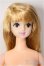 画像1: ジェニー/サヤカ/BJD　球体関節人形 A-26-02-04-366-NY-ZA (1)
