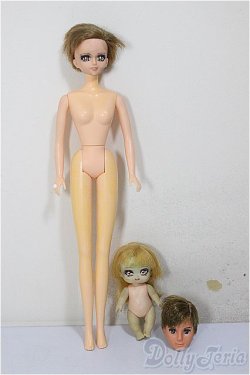 画像1: ドール2体・ヘッドのみ1体/ A-26-02-04-370-NY-ZA