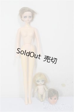 画像1: ドール2体・ヘッドのみ1体/ A-26-02-04-370-NY-ZA