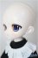 画像4: TinyFox/ウーパールーパーナース ルーシー/BJD　球体関節人形 A-26-02-04-353-NY-ZA (4)