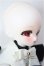画像3: TinyFox/Cassandra/BJD　球体関節人形 A-26-02-04-352-NY-ZA (3)