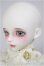 画像4: 【DOLK×MELODY.C×MYOU DOLL】白猫Zuzana ver. Limited - Special Collaboration Edition/BJD　球体関節人形 A-26-02-04-355-NY-ZA (4)