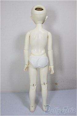 画像6: SDMGIRL/F-45　コーディネートモデル A-26-02-11-203-NY-ZA