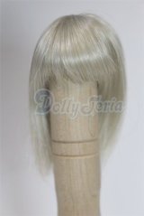 4inch/ウィッグ/インチ　BJD　MJD　ドール用 A-26-02-25-096-WT-ZA