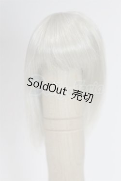 画像1: 4inch/ウィッグ/インチ　BJD　MJD　ドール用 A-26-02-25-096-WT-ZA