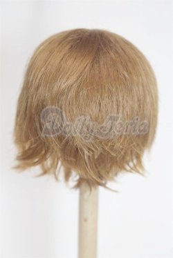 画像2: 6-7inch/ウィッグ/インチ　BJD　MJD　ドール用 A-26-03-04-063-NY-ZA