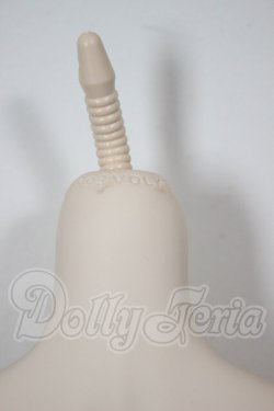 画像3: DDS/ベースボディ(DD-f3) A-26-02-18-352-WT-ZA