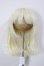 画像1: 9inch/ウィッグ　Ronshuka Couture 様製 A-26-02-25-161-NY-ZA (1)