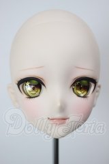 DD/DDH-09:カスタムヘッド A-26-02-25-197-NY-ZA