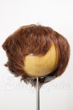 画像1: 9-10inch/ウィッグ A-26-02-25-225-NY-ZA