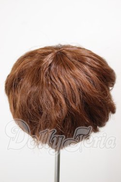 画像2: 9-10inch/ウィッグ A-26-02-25-225-NY-ZA