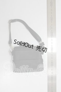 画像2: MSD(SDM)/OF：バッグ A-26-02-25-283-NY-ZA