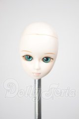 パラボックス/Sグレーテルヘッド A-26-02-25-320-NY-ZA