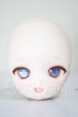 DD/DDH-28 カスタムヘッド A-26-02-25-358-NY-ZA