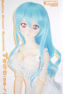 画像1: DDｄｙ/トワ（DD-f3） A-26-02-25-351-NY-ZA