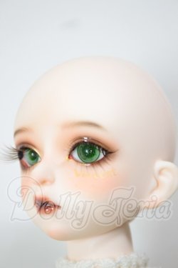画像2: Gem of Doll/Sunflower Open Eyes Style A-26-03-04-103-NY-ZA