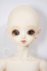 Peak’s Woods/FOB Little Yeru A-26-03-04-104-NY-ZA