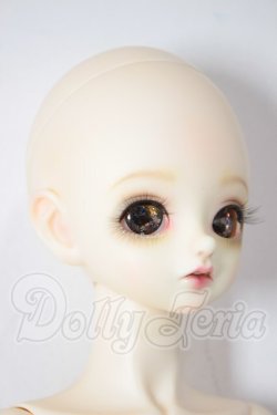 画像3: Peak’s Woods/FOB Little Yeru A-26-03-04-104-NY-ZA