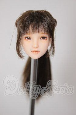 画像1: 1/6サイズ/カスタムヘッド：植毛 A-26-03-04-168-TN-ZA