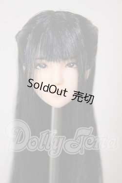 画像1: 1/6サイズ/カスタムヘッド：植毛 A-26-03-04-167-TN-ZA