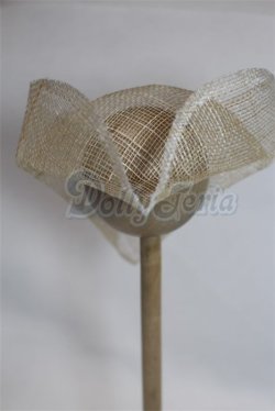 画像2: 9-10inch/ウィッグ/インチ　BJD　MJD　ドール用 A-26-03-11-048-NY-ZA