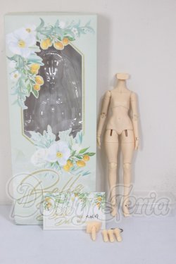 画像3: 1/6サイズ/女性ボディ A-26-03-04-197-NY-ZA