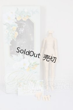 画像3: 1/6サイズ/女性ボディ A-26-03-04-197-NY-ZA