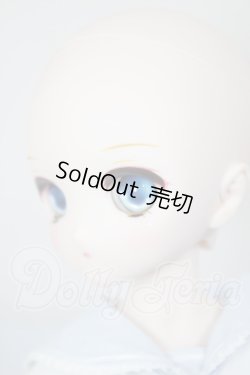 画像4: MDD2.0ボディ/DDH-27ヘッド A-26-03-04-360-NY-ZA