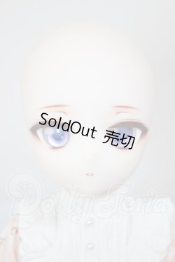 画像2: MDD2.0ボディ/DDH-29　暁光館様カスタムヘッド A-26-03-04-361-NY-ZA