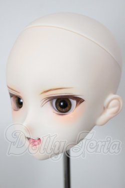 画像3: DD/DWC#2カスタムヘッド A-26-03-04-352-NY-ZA