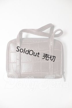 画像1: SD/バッグ A-26-03-11-190-TN-ZA