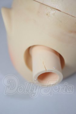 画像7: PARABOX/カスタムヘッド花かごの小部屋 A-26-04-08-150-TN-ZA