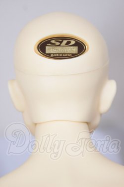 画像5: ＳＤ17ＢＯＹ/坂本龍馬 A-26-03-11-101-TN-ZA