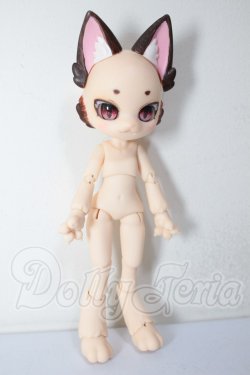 画像2: TINGUIN/听装小猫 A-26-03-25-310-TN-ZA