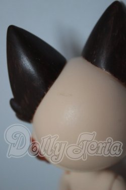 画像5: TINGUIN/听装小猫 A-26-03-25-310-TN-ZA