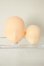 画像1: azone/ヘッドセット A-26-06-02-350-TN-ZA (1)