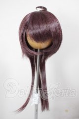 9inch/みさんとるーぷ様製ウィッグ A-26-03-18-134-TN-ZA