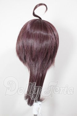 画像2: 9inch/みさんとるーぷ様製ウィッグ A-26-03-18-134-TN-ZA